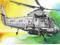 Pastel Śmigłowiec KAMAN SH-2G Super Seasprite