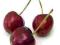 wiśnia świeża owoce