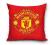 PODUSZKA MANCHESTER 40X40 OFERTA PROMOCYJNA!!!