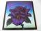 THIN LIZZY Black rose  UK EX 1PRESS