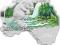Australia Map DZIOBAK 1$ Australia 2013 DOSTĘPNE