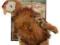 Country Pet Red Grouse Pardwa szkocka M 280572