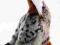 Country Pet Waterfowl Ptak Wodny S 280077