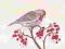 Czeczotka, akwarela, ptaki, format 21x29,7cm