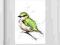 Zielony ptaszek - akwarela