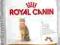 ROYAL CANIN EXIGENT 42 PROTEIN 400+400g PROMOCJA