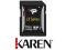 Secure Digital (SDXC) 128GB Patriot LXod Karen