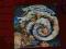 THE MOODY BLUES / A Question Of Balanse 278.013 B