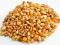 kukurydza wędkarska  * zanęta * przynęta * Wrocław