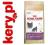 ROYAL CANIN BRITISH SHORTHAIR 4KG [SUPER PROMOCJA]