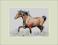malarstwo PORTRET KOŃ KONIE DLA KONESERA akwarela