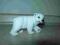 Schleich  młody niedżwiedż polarny figurka warto !