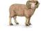 SCHLEICH - BARAN - 13726