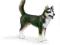 SCHLEICH - PIES HUSKY - 16371