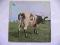 Pink Floyd - Atom Heart Mother (Harvest GER) EX