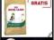 Royal Canin Maine Coon Kitten 400 g + 400g GRATIS