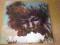 JIMI HENDRIX-THE CRY OF LOVE