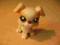 Littlest Pet Shop Piesek