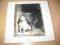PAVLOV'S DOG-PAMPERED MENIAL