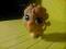 figurka littlest pet shop lew