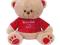 BEPPE Miś Cz 22 cm Pozdrowienia z Polski