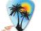 Grover Allman Reggae Theme - Palm Trees - 0.8 mm