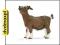 dvdmaxpl SCHLEICH KOZA KARŁOWATA 13715 (ZABAWKA)