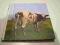 Pink Floyd - Atom Heart Mother - JAPAN MINI-LP