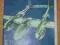 MAŁY MODELARZ- P-38 Lockhed LIGHTNING /87