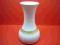 WAZON WAZONIK PORCELANA THOMAS ROSENTHAL