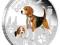 1$ Psy Pracujące Beagle Working dogs