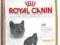 Royal Canin British Shorthair Adult 34 - 4kg