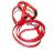 komplet dla pieska kotka szelki + smycz cyrkonie