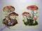 Grzyby... - 2 pocztówki.