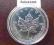 1 uncja srebra LIŚĆ KLONU 2013 MAPLE LEAF - 1oz