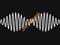 ARCTIC MONKEYS - Am