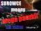 Ogame-YAKINI: surowce, moony TANIO!!