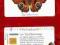 KARTA TEL. MOTYL / NIEMCY / N094 /0114/