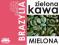 KAWA ZIELONA MIELONA BRAZYLIA SANTOS 250G ODCHUDZA
