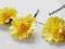 DALIE ASTRY STOKROTKI fajne kwiatki ŻÓŁTE 12szt