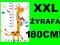 NAKLEJKA PVC WESOŁA ŻYRAFA, MAŁPKA XL 180CM WYPRZ!