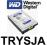 DYSK TWARDY 1000GB SATAIII/II WD 64MB 7200OBR