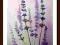 Akwarela *LAWENDA*  oryginał