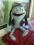 Maskotki CREZY FROG zwariowana zaba