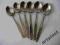 KOMPLET 6 LYZECZEK WSS SPOLEM Stainless Poland BCM