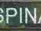NASZYWKI SPINAKE Naszywka Nazwisko NAME PATCH