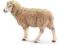 SCHLEICH Owca