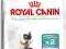 400g. + 400g. INTENSE HAIRBALL 34 ROYAL CANIN