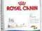 2KG. INDOOR APPETITE ROYAL CANIN + TORBA + KOD LAT