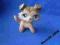 LITTLEST PET SHOP PIESEK COLLIE UNIKAT